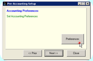 Accounting Preferences